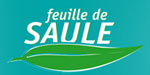 FEUILLE DE SAULE